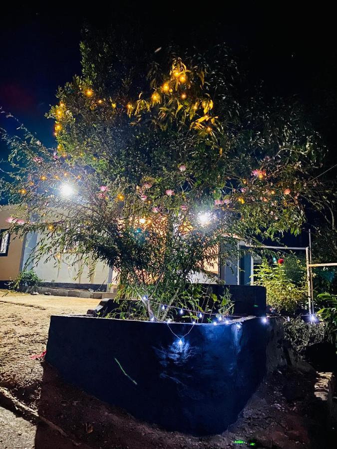 Misty Moon Home Stay ادوكي المظهر الخارجي الصورة
